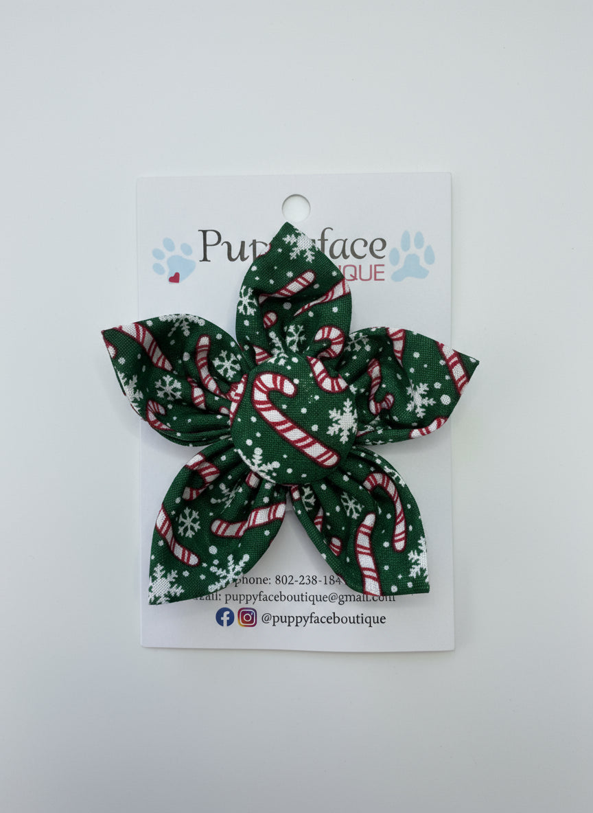 Candy Cane Flower