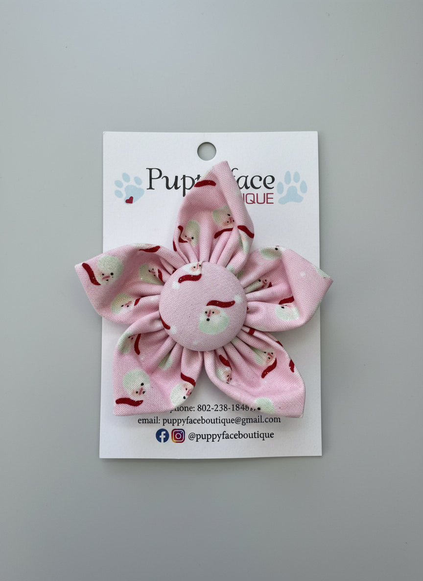 Pink Santa Flower