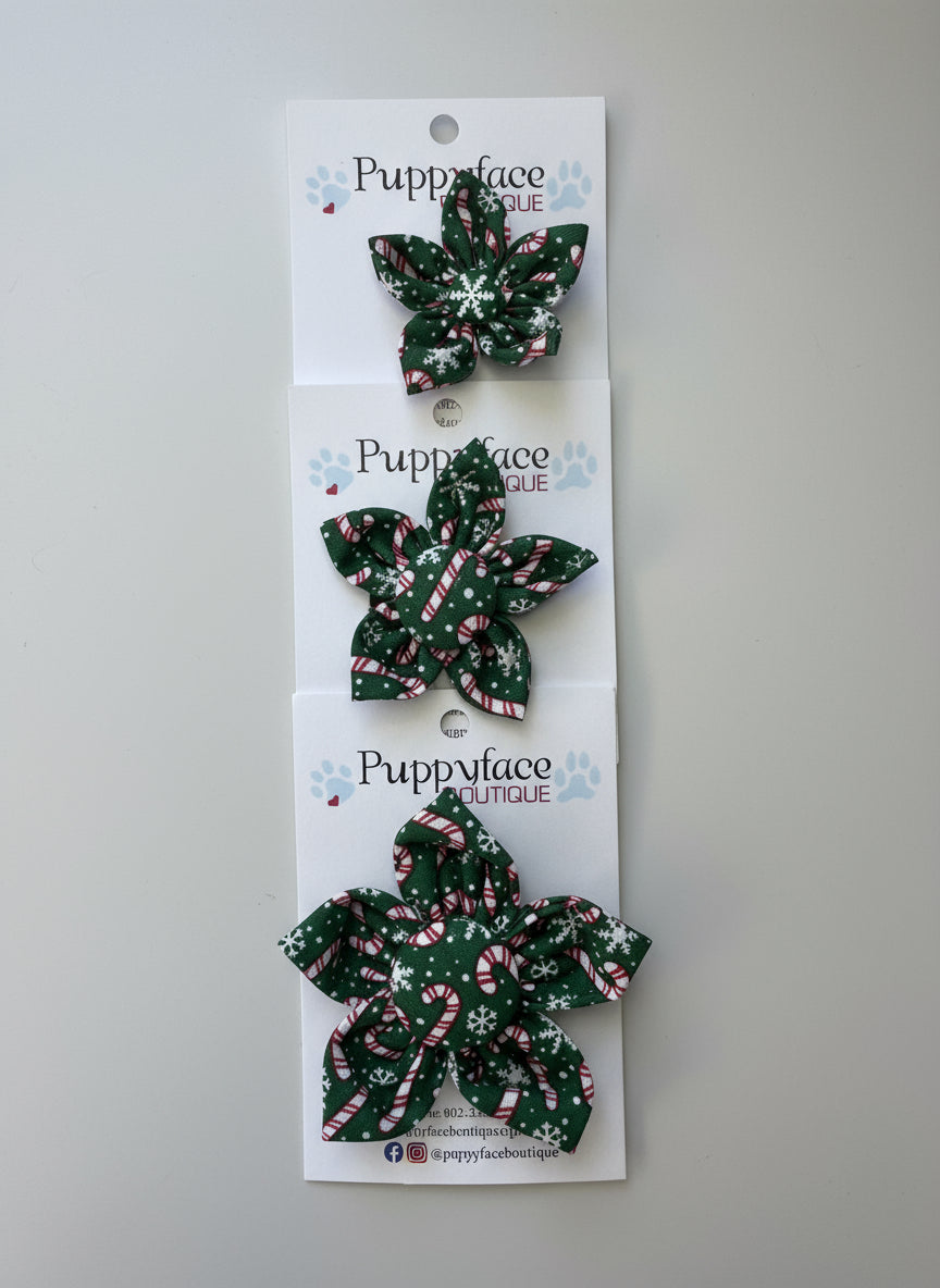 Candy Cane Flower