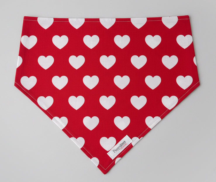 Valentine's Day Bandanas