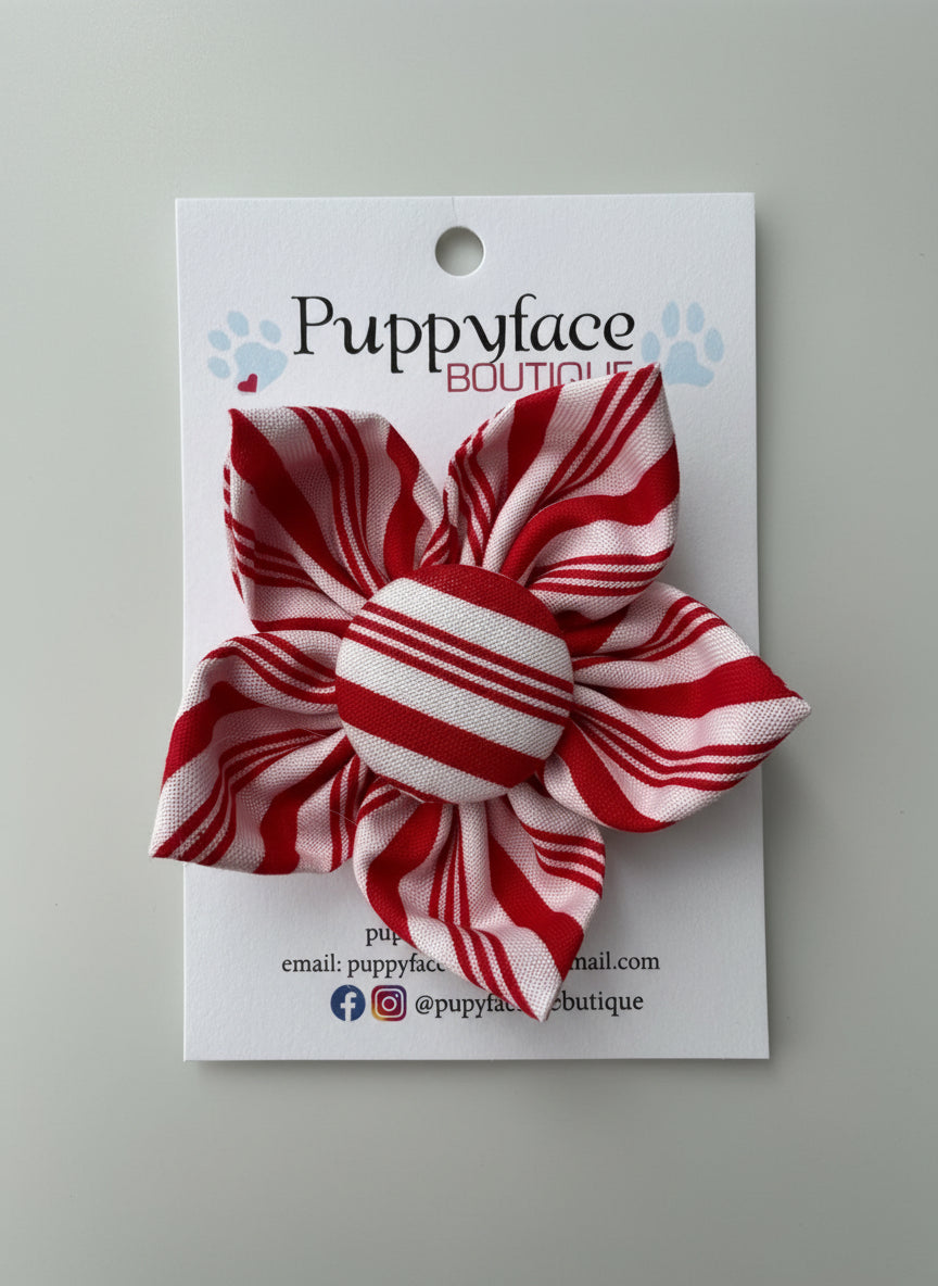 Candy Cane Stripe Flower