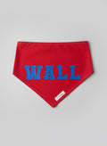 Red Wall Bandana