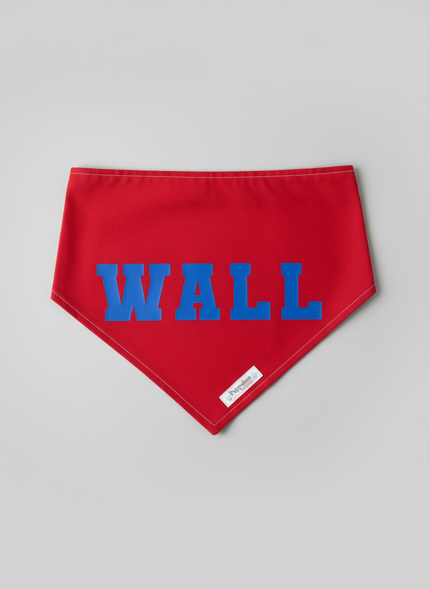 Red Wall Bandana