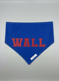 Blue Wall Bandana