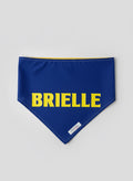 Blue Brielle Bandana