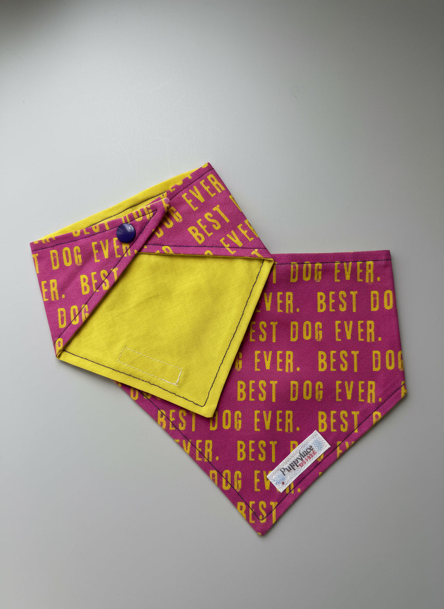 Best Dog Ever (Pink)