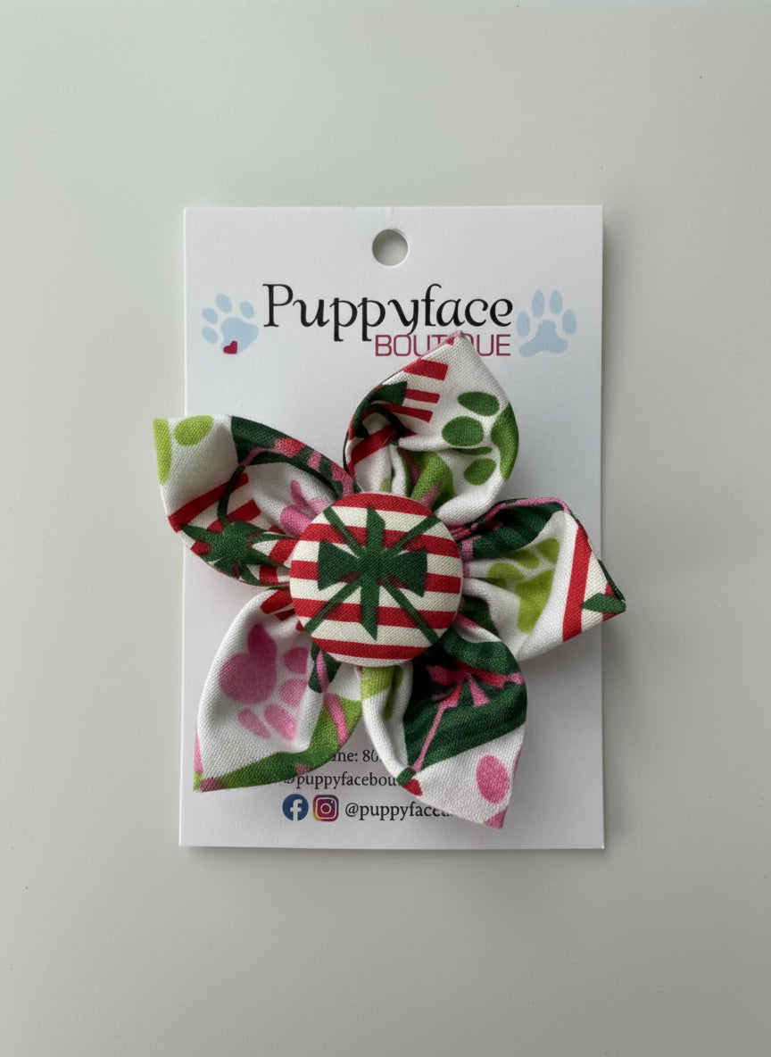 Paws & Presents Flower