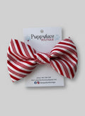 Candy Cane Stripe Bow Tie