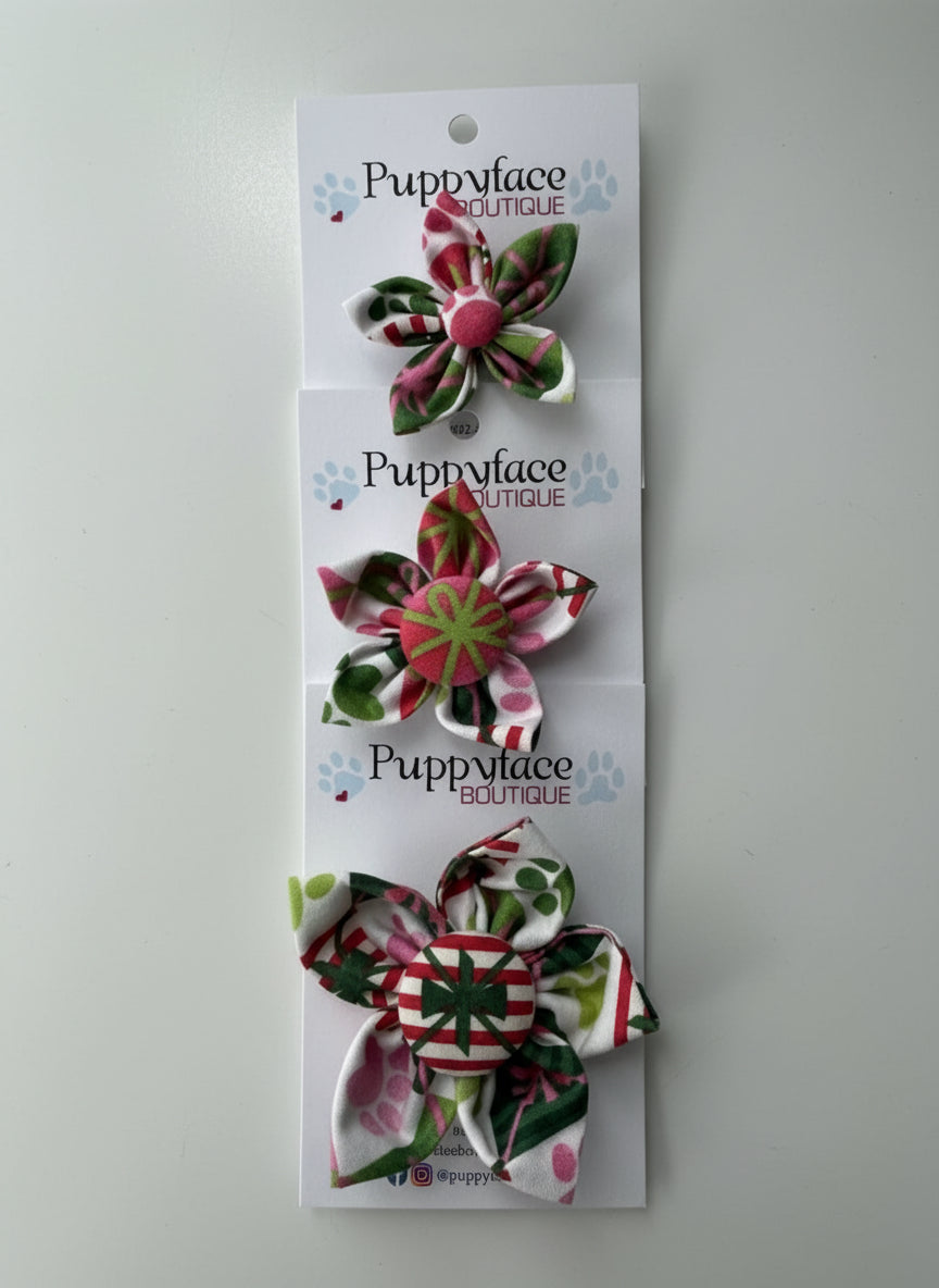 Paws & Presents Flower