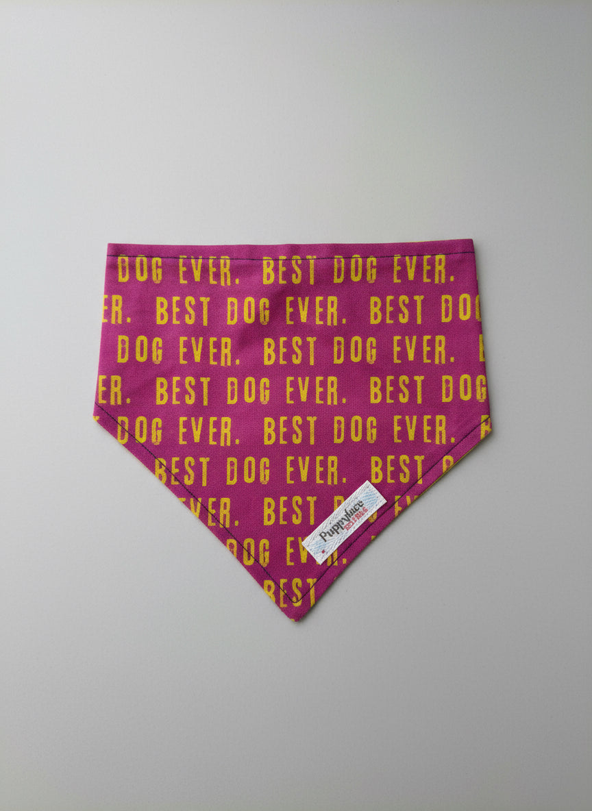 Best Dog Ever (Pink)