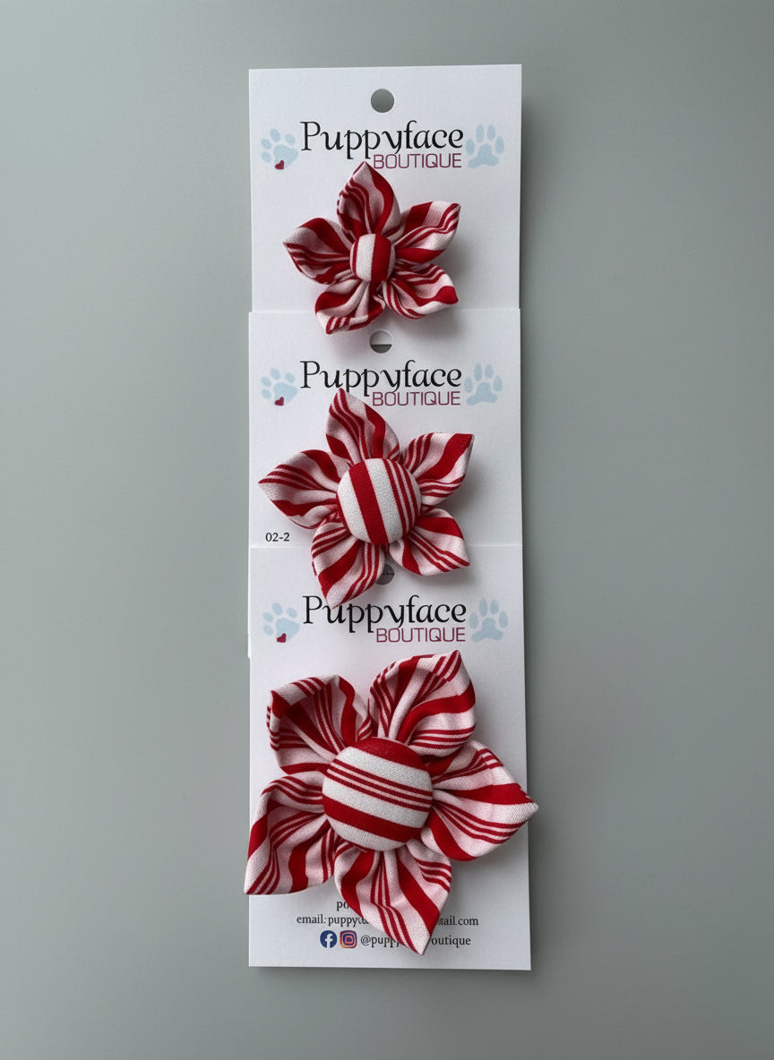 Candy Cane Stripe Flower