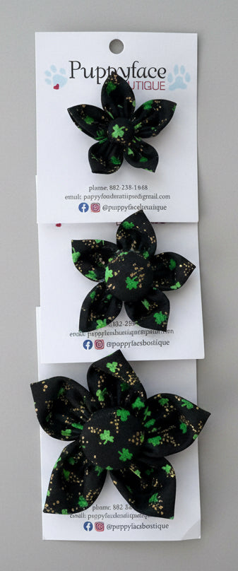 Black Shamrock Flower