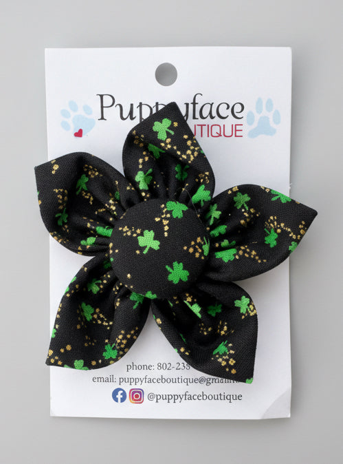 Black Shamrock Flower