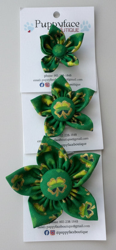 Green Shamrock Flower